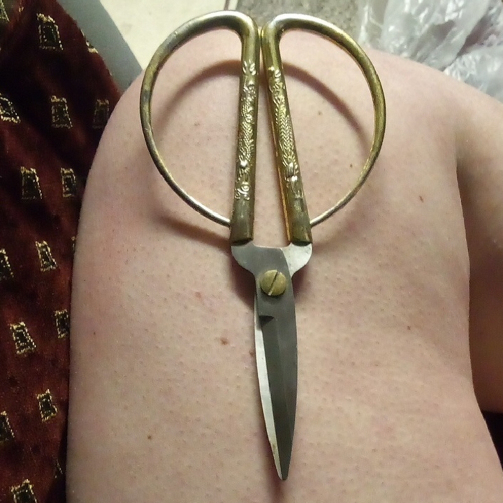 Vintage Gold and Silver Scissors
